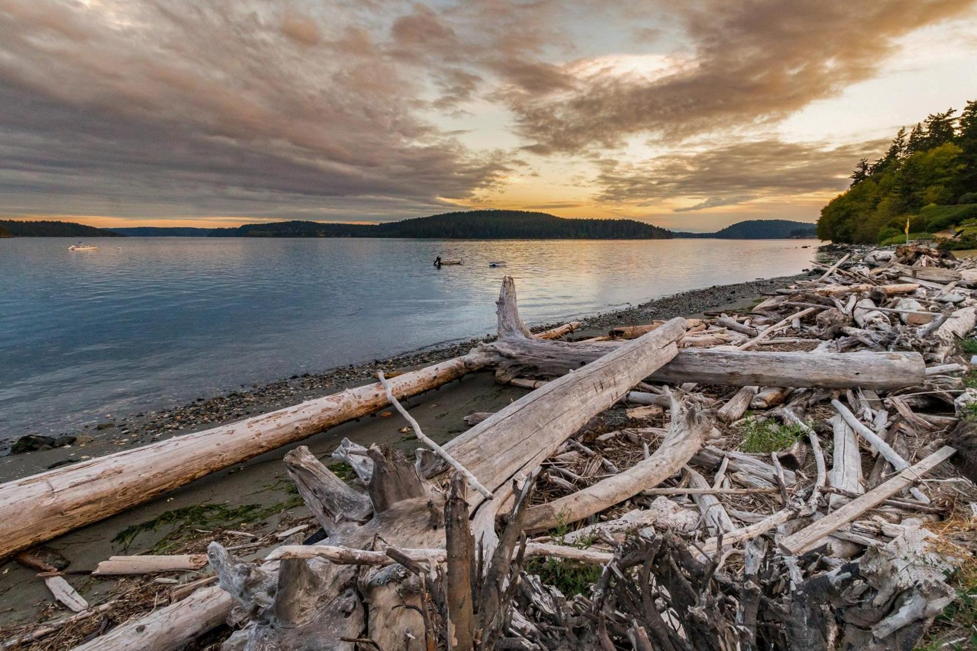 Driftwood Retreat Villa Anacortes Dış mekan fotoğraf